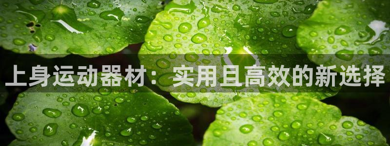 zoty中欧体育官网下载招商电话是多少啊：上身运动器