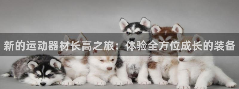 zoty中欧体育官方正版app新能源：新的运动器材长