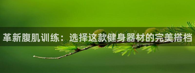 zoty中欧体育官网下载平台假的吗是真的吗：革新腹肌训练：选