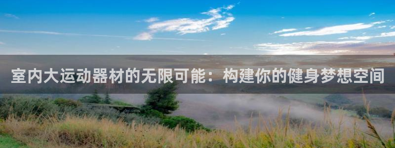 zoty中欧体育官网下载平台假的吗是真的吗吗：室内大运动器材