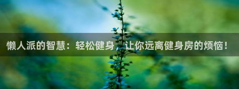 zoty中欧体育官方正版app集团：懒人派的智慧：轻