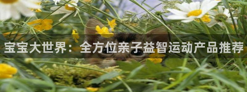 zoty中欧体育官网下载招商电话号码查询：宝宝大世界：全方位