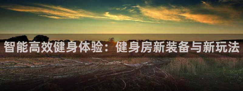 zoty中欧官方集团官网：智能高效健身体验：健身房新