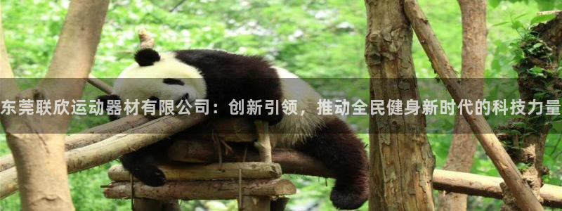 zoty中欧体育官方正版app娱乐代理怎么样：东莞联