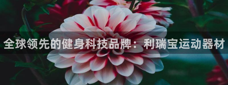 zoty中欧体育官网下载平台注册流程图：全球领先的健