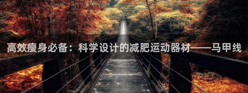zoty中欧体育官方正版app五金厂：高效瘦身必备：科学设计
