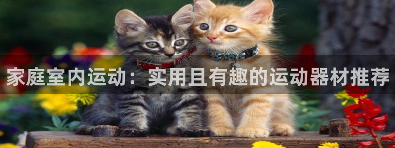 zoty中欧体育官网下载平台假的吗是真的吗吗：家庭室内运动：