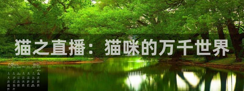 柠檬直播足球免费：猫之直播：猫咪的万千世界