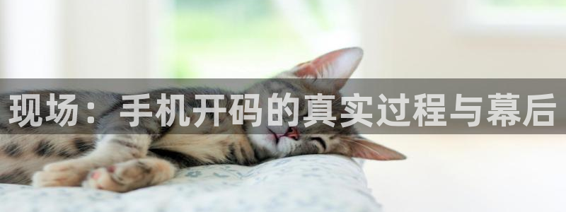 nba直播柠檬：现场：手机开码的真实过程与幕后