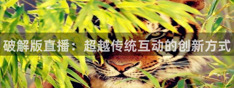 足球柠檬免费直播：破解版直播：超越传统互动的创新方式