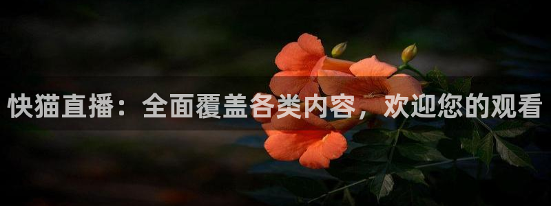 篮球柠檬直播：快猫直播：全面覆盖各类内容，欢迎您的观看