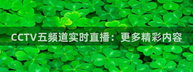 柠檬体育：CCTV五频道实时直播：更多精彩内容