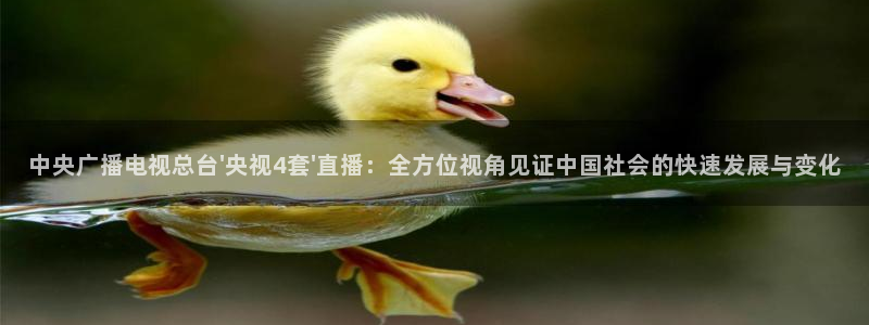 柠檬体育nba直播：中央广播电视总台\'央视4套\'直播：全方位视角见证中国社会的快速发展与变化