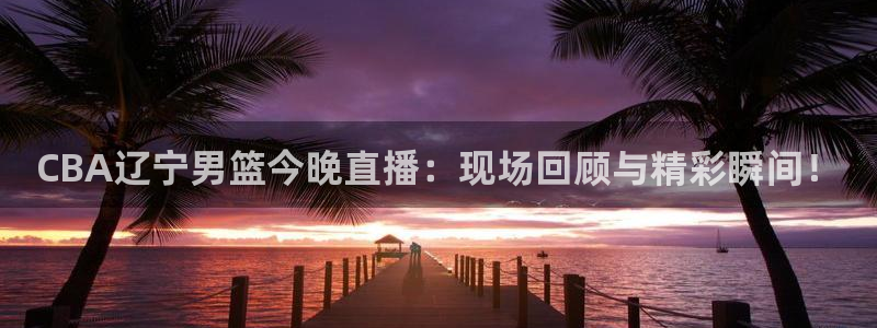 nba柠檬直播体育：CBA辽宁男篮今晚直播：现场回顾与精彩瞬间！