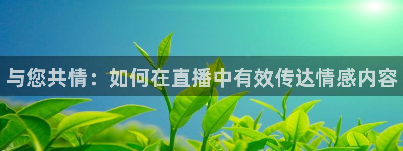 柠檬直播nba篮球：与您共情：如何在直播中有效传达情感内容
