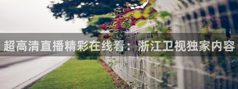 柠檬体育直播nba：超高清直播精彩在线看：浙江卫视独家内容