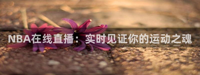 柠檬足球免费直播：NBA在线直播：实时见证你的运动之魂