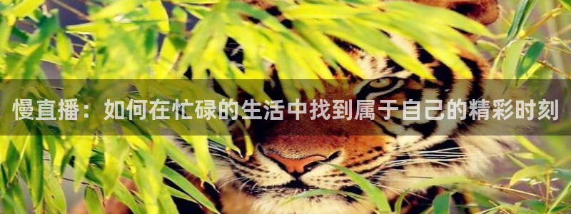 足球柠檬免费直播：慢直播：如何在忙碌的生活中找到属于自己的精彩时刻