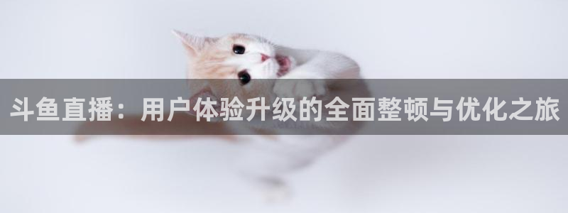 柠檬nba篮球直播：斗鱼直播：用户体验升级的全面整顿与优化之旅