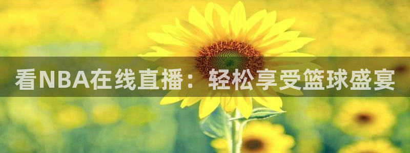 柠檬体育直播网址：看NBA在线直播：轻松享受篮球盛宴