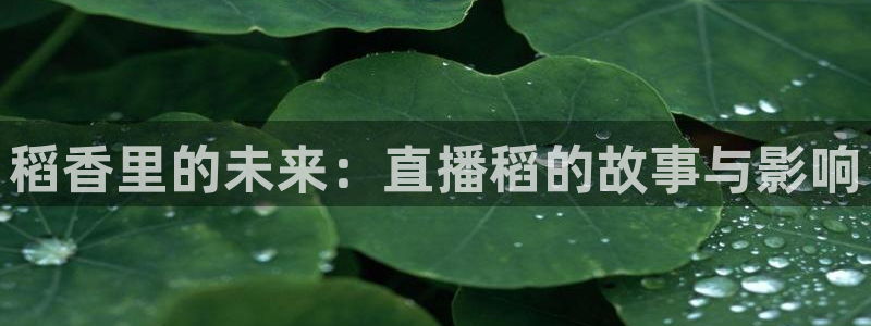 柠檬体育直播nba：稻香里的未来：直播稻的故事与影响