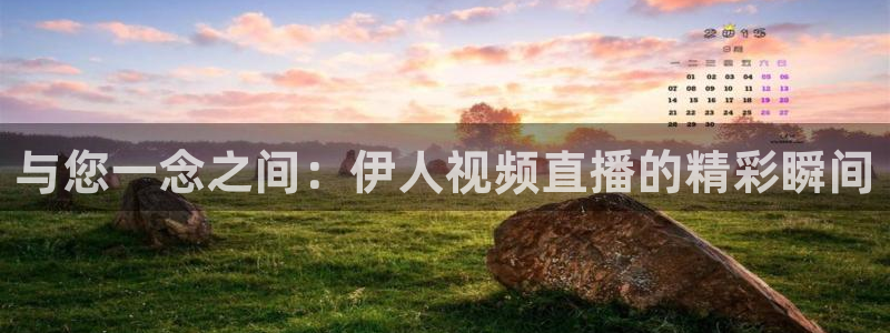柠檬直播体育nba比赛：与您一念之间：伊人视频直播的精彩瞬间